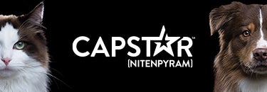 Capstar cheap for kittens